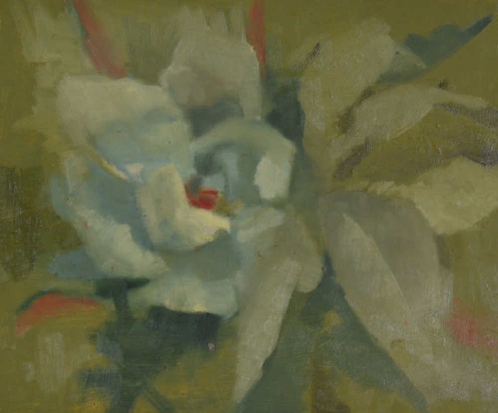 “Magnolia”  12x10